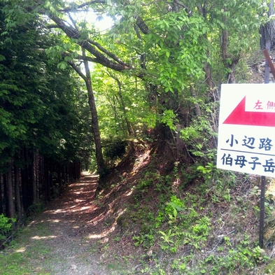 ☆世界遺産・熊野古道「小辺路」を歩こう！☆【鴨鍋・大股登山口送迎】
